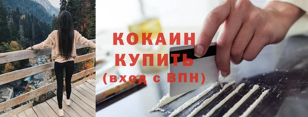 винт Болохово