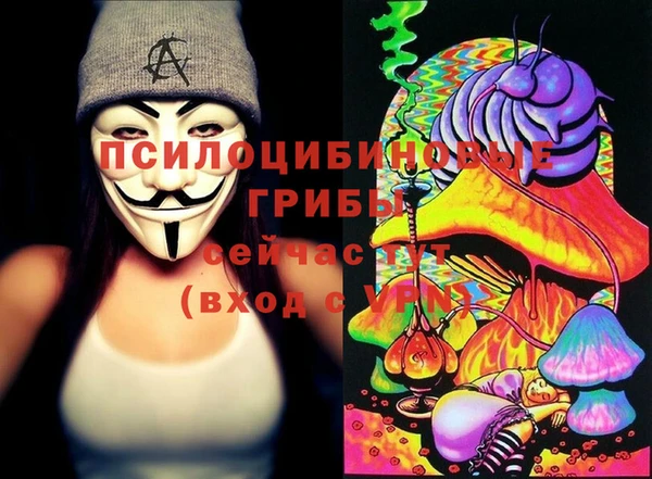 трава Переславль-Залесский