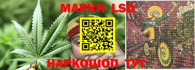 гидропоника Аргун
