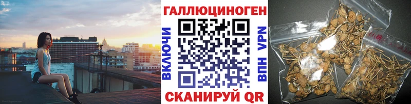 hydra зеркало  Аргун  Галлюциногенные грибы мицелий 