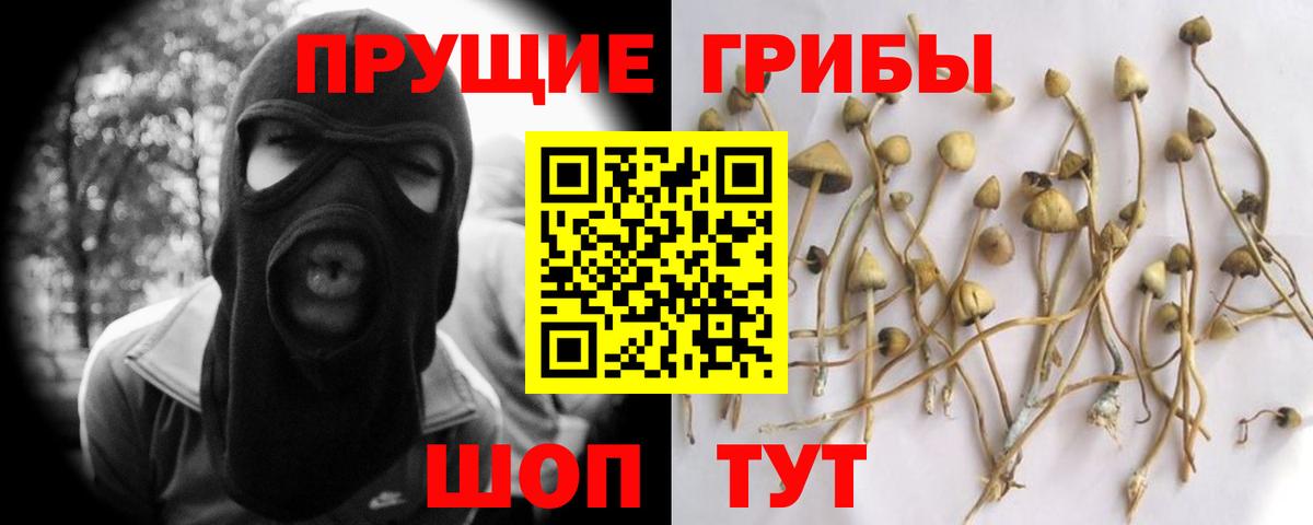 Псилоцибиновые грибы мухоморы  Галлюциногенные грибы Psilocybine cubensis  наркота  Аргун  Вход с VPN 
