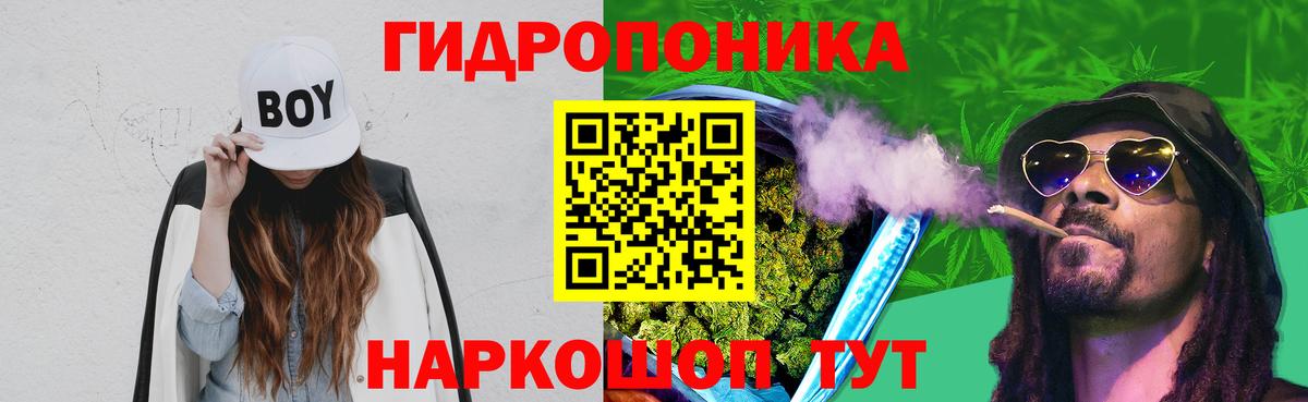 Канабис Ganja  Шишки марихуана сатива  Аргун  Канабис Amnesia  Бошки Шишки Amnesia 